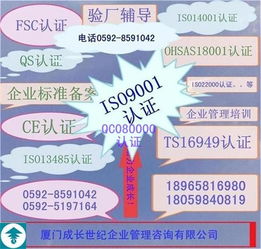安徽ISO9001:2015精細化輔導咨詢 信息咨詢服務升級與體系優化新路徑